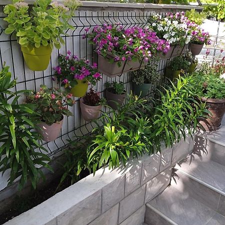 Apartment Iva Trebinje Exterior photo